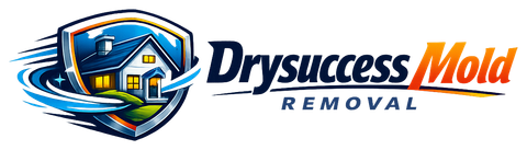 Drysuccess Mold Removal